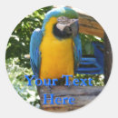 Recherche de macaw autocollants Zoo