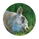 Recherche de moutons planches à découper Fermes