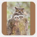 Recherche de le hibou autocollants Toute personne