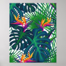 Recherche de jungle s posters Wild