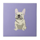 Recherche de bouledogue carreaux Frenchie