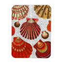 Recherche de coquille magnets Palourde