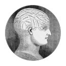 Recherche de cerveau dessous de verres Crâne