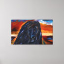 Recherche de lévriers art Lévrier afghan