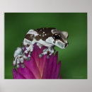 Recherche de plan rapproché posters Animaux dans le sauvage