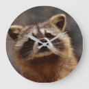 Recherche de raton laveur horloges Faune
