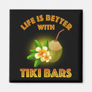 Recherche de barre aimantée magnets Tiki