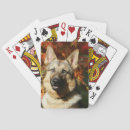 Recherche de headshot jeux de cartes Shepherd german