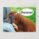 Recherche de humour de banane cartes postales Nourriture
