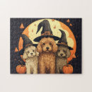 Recherche de labradoodle puzzles Mignon