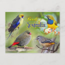 Recherche de oiseau australien cartes postales Sauvage