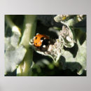 Recherche de rampant posters Adorable