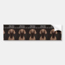 Recherche de travail voiture autocollants Pare chocs