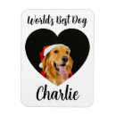 Recherche de chien magnets Dogs