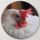 Recherche de volailles badges Animal