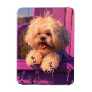 Recherche de chiot drôle magnets Canin