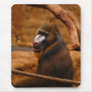 Recherche de babouin tapis souris Faune