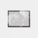 Recherche de planet post its Astronomie