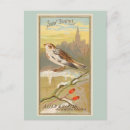 Recherche de neige cartes postales Oiseau