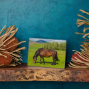 Recherche de ferme plaques Bétail