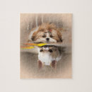 Recherche de chihuahua puzzles Animaux