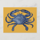 Recherche de crabe cartes postales Faune
