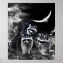Recherche de bandit posters Raton laveur