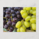 Recherche de agriculteurs cartes postales Vert