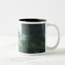 Recherche de redwood tasses Forêt