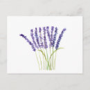 Recherche de fleurs lilas cartes postales Pour eux