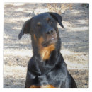 Recherche de rottweiler carreaux Pour tous