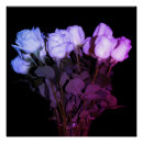 Recherche de tiges posters Floral