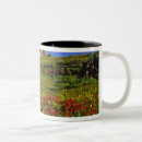Recherche de logan tasses Paysage
