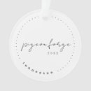 Recherche de pigeon ornements Vacances