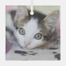 Recherche de daughter ornements Keepsake