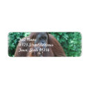 Recherche de orang outan Zoo