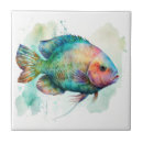 Recherche de perroquet carreaux Aquarelle