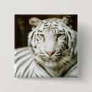 Recherche de grand blanc carrés badges Photographie