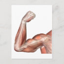 Recherche de articulé cartes postales Membre