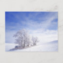 Recherche de se givrer cartes postales Neige