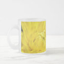 Recherche de chrysanthèmes tasses Jaune