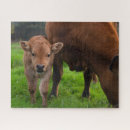 Recherche de animal bébé puzzles Bétail