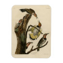 Recherche de flamboyant magnets Oiseau