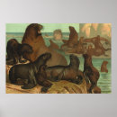 Recherche de otarie posters Océan