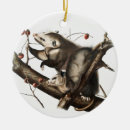Recherche de opossum ornements Vintage