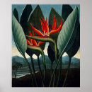 Recherche de bird of paradise posters Vintage