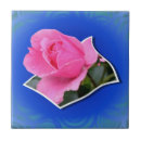 Recherche de macro rose carreaux Nature