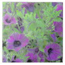 Recherche de pétunia maison deco Fleurs
