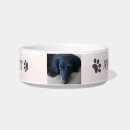 Recherche de vivant animaux articles Dogs