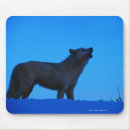 Recherche de loup blanc tapis souris Animal